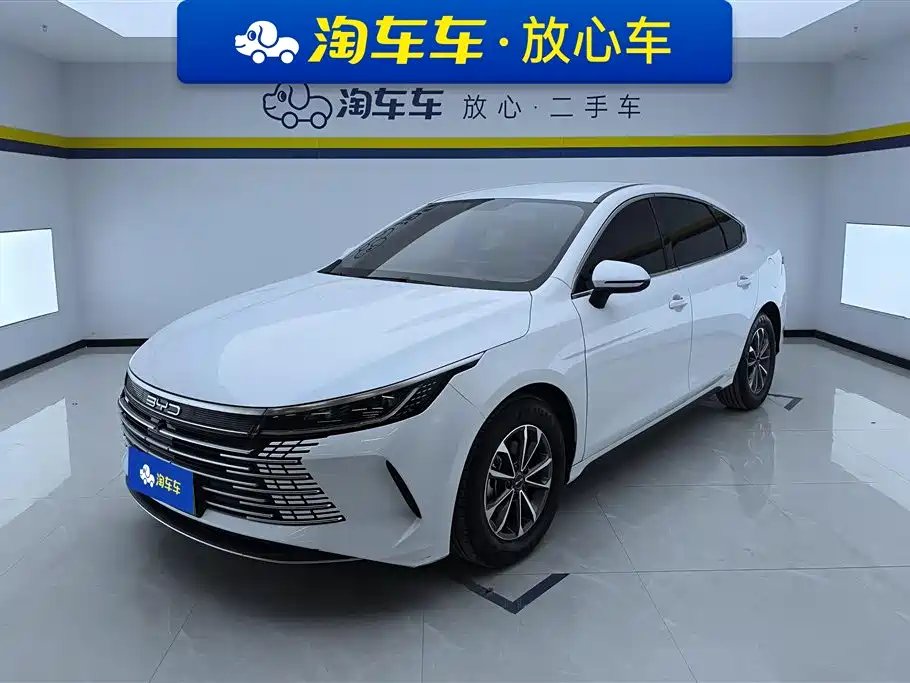 BYD Destroyer 05 2024