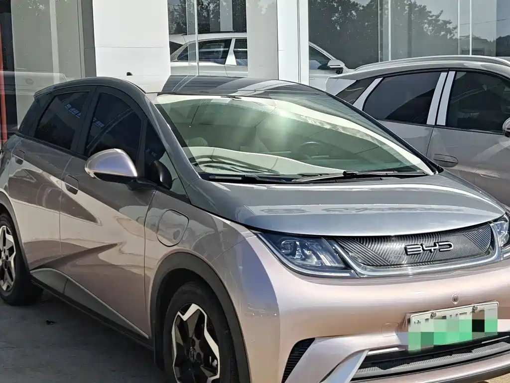 BYD Dolphin 2022