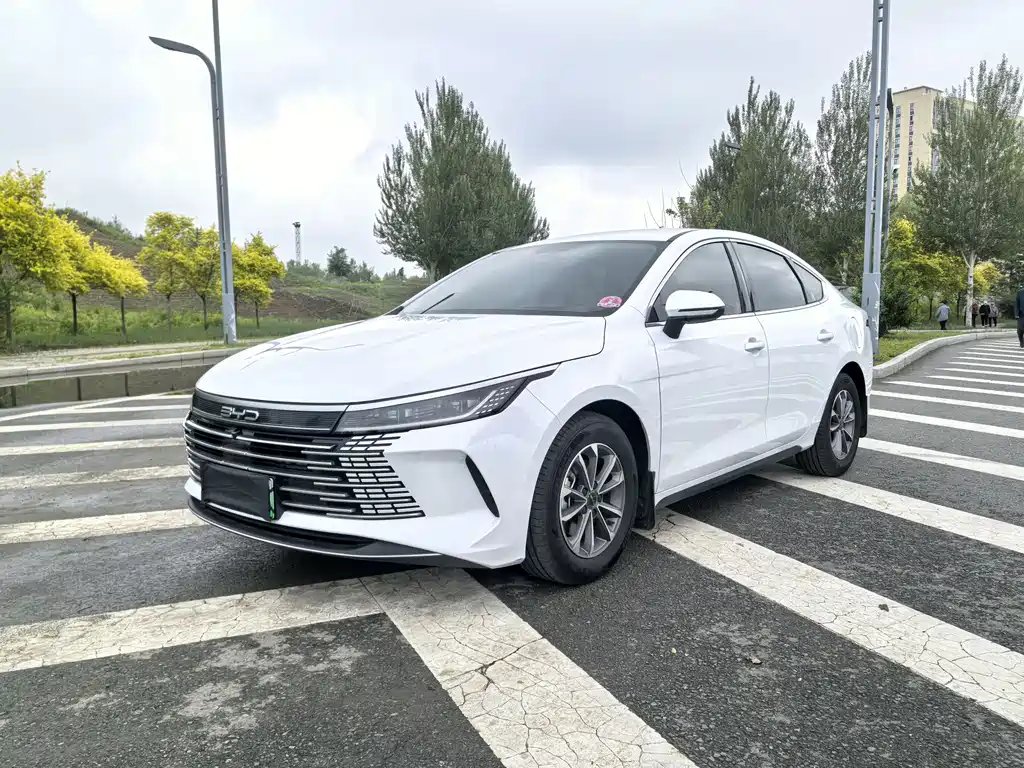 BYD Destroyer 05 2024