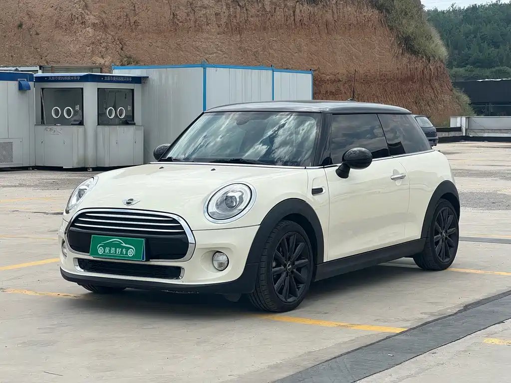 Mini Mini 2017