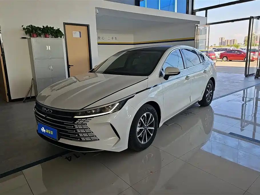 BYD Destroyer 05 2024