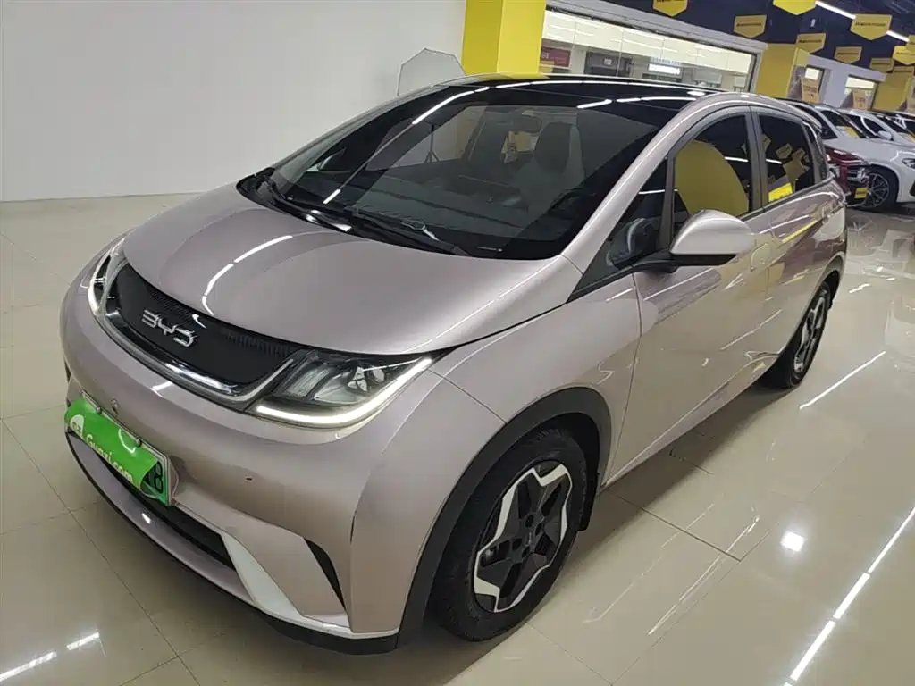 BYD Dolphin 2022