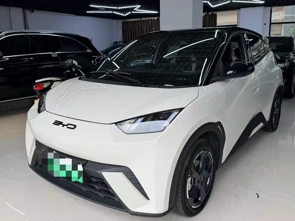 BYD Seagull 2024