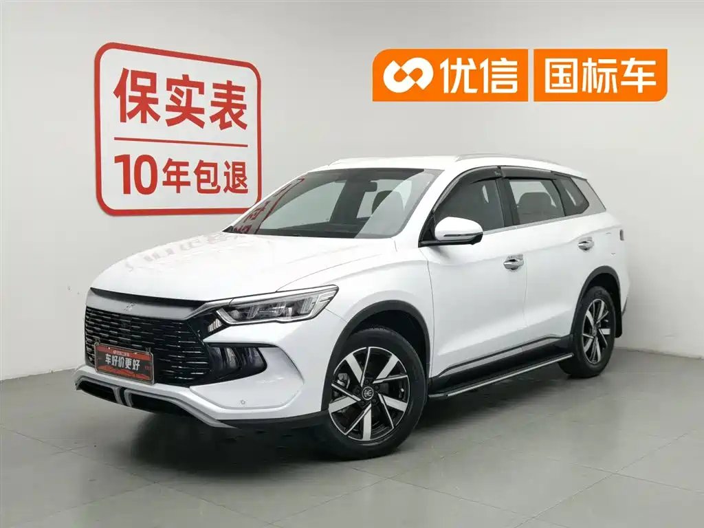 BYD Pro New Energy 2024