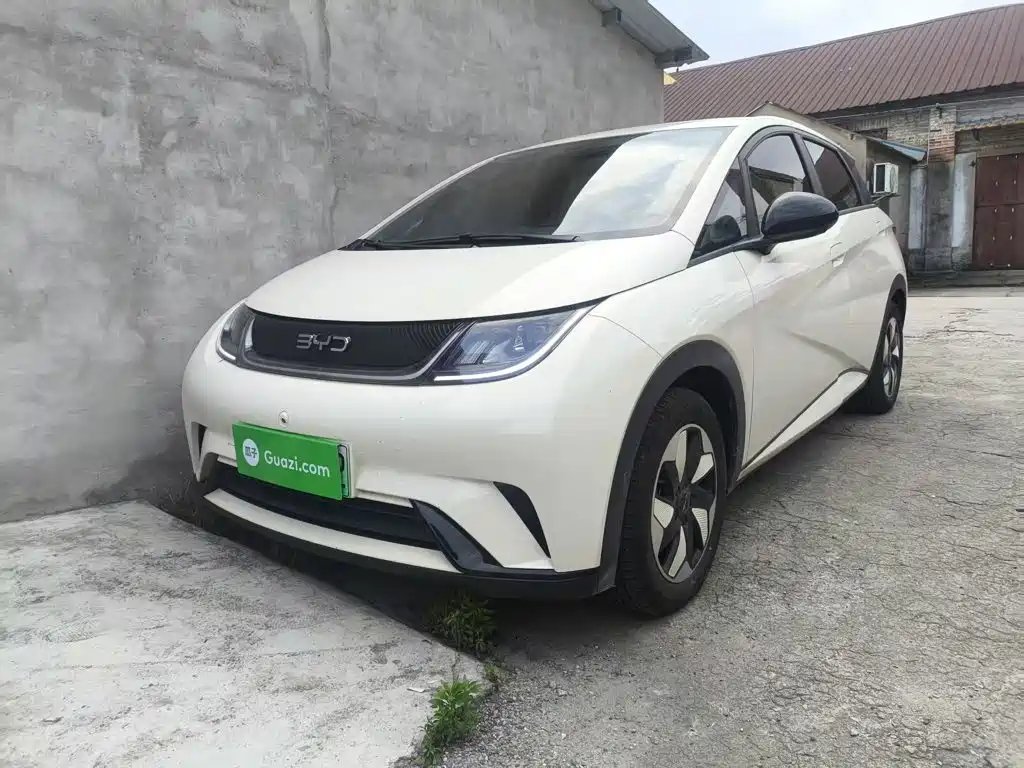 BYD Dolphin 2026