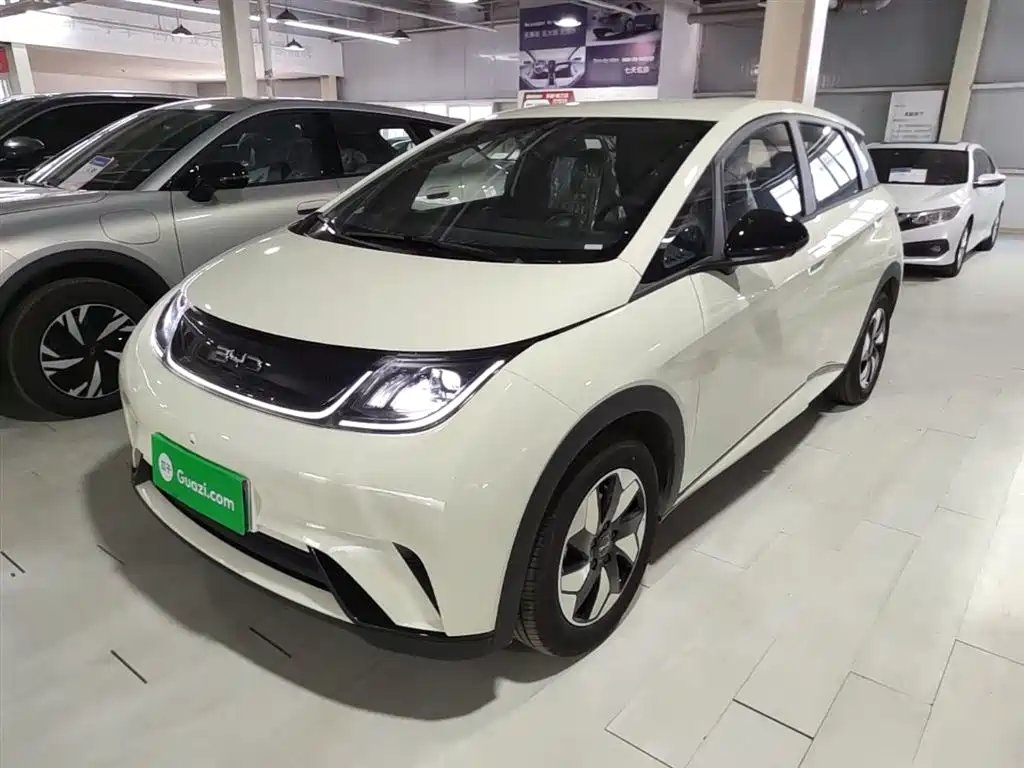 BYD Dolphin 2026