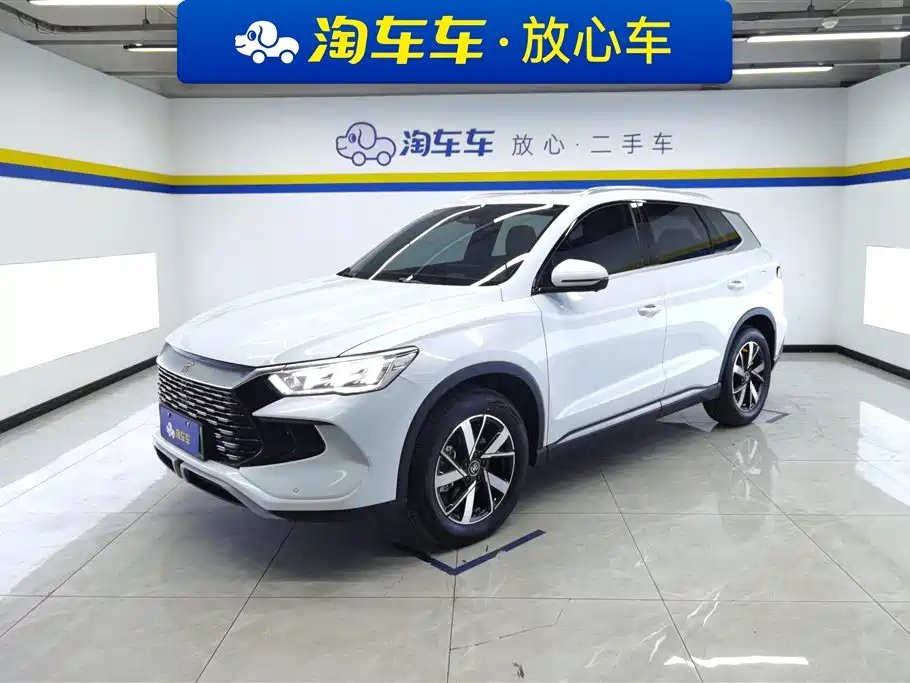 BYD Pro New Energy 2024