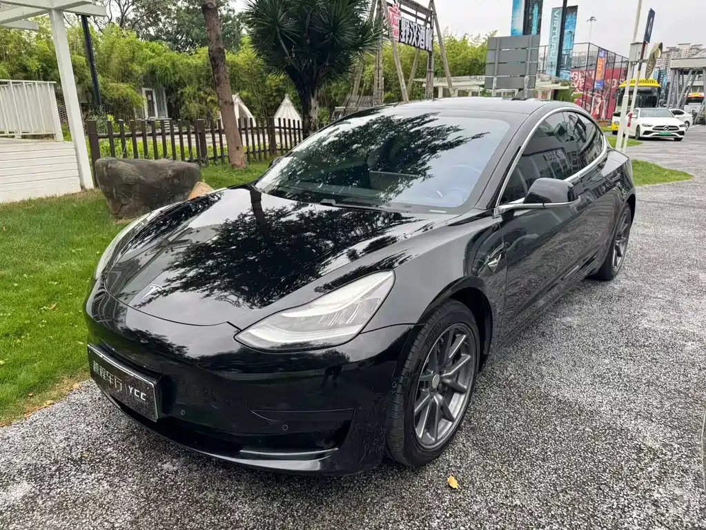 Tesla Model 3 2020