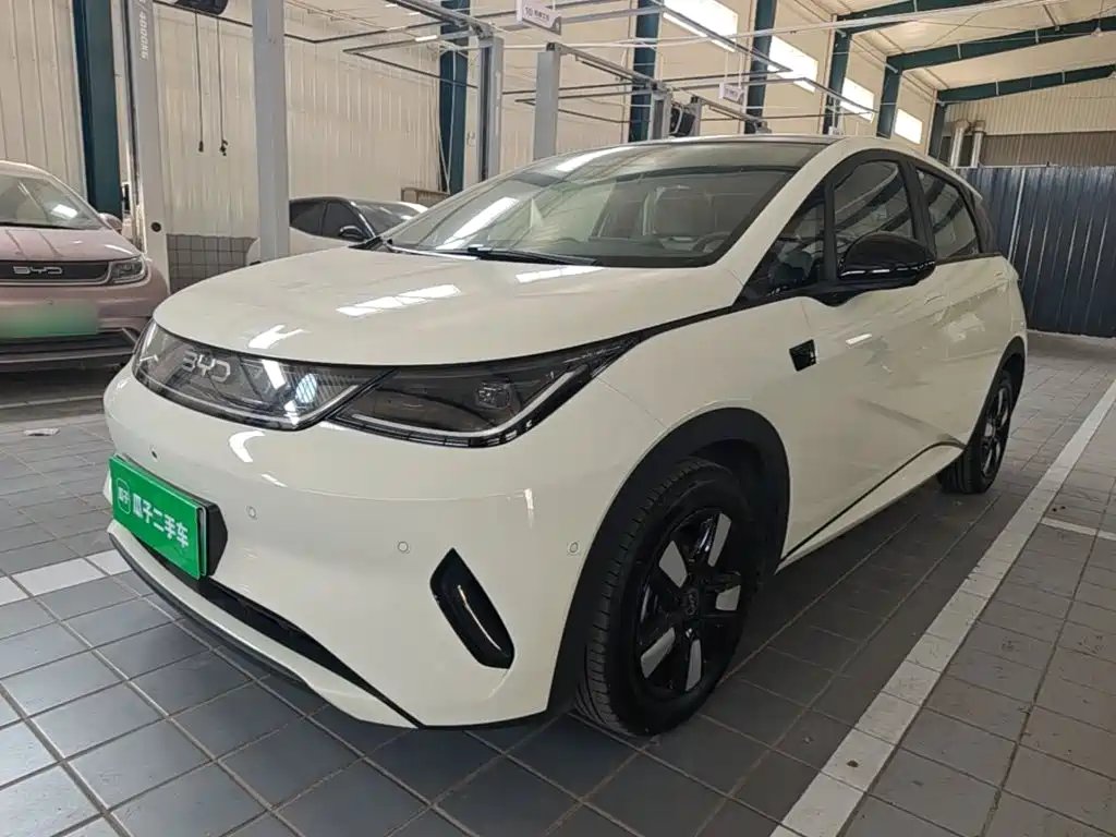 BYD Dolphin 2025