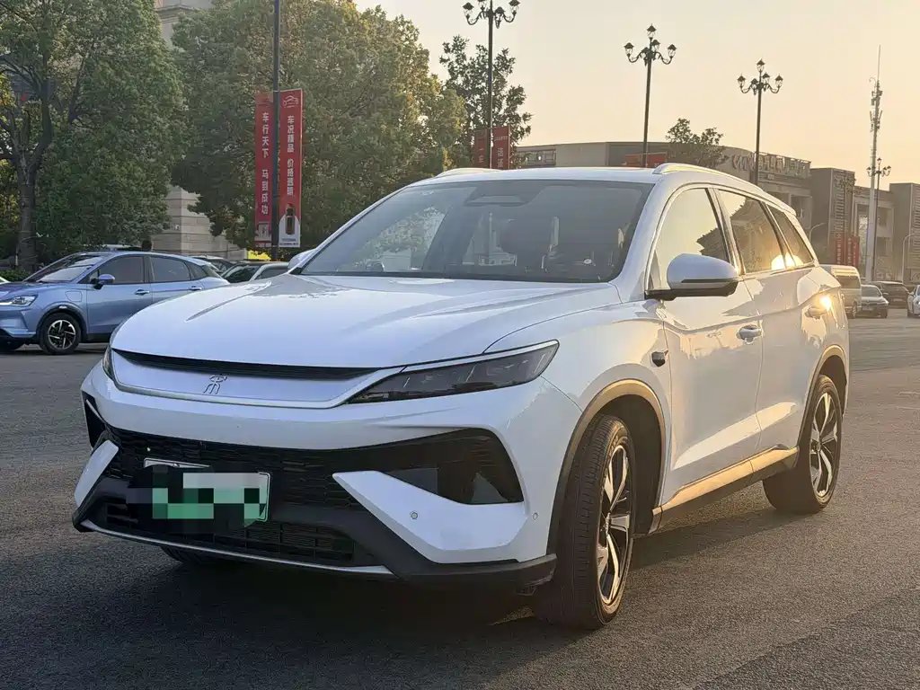 BYD Pro New Energy 2025