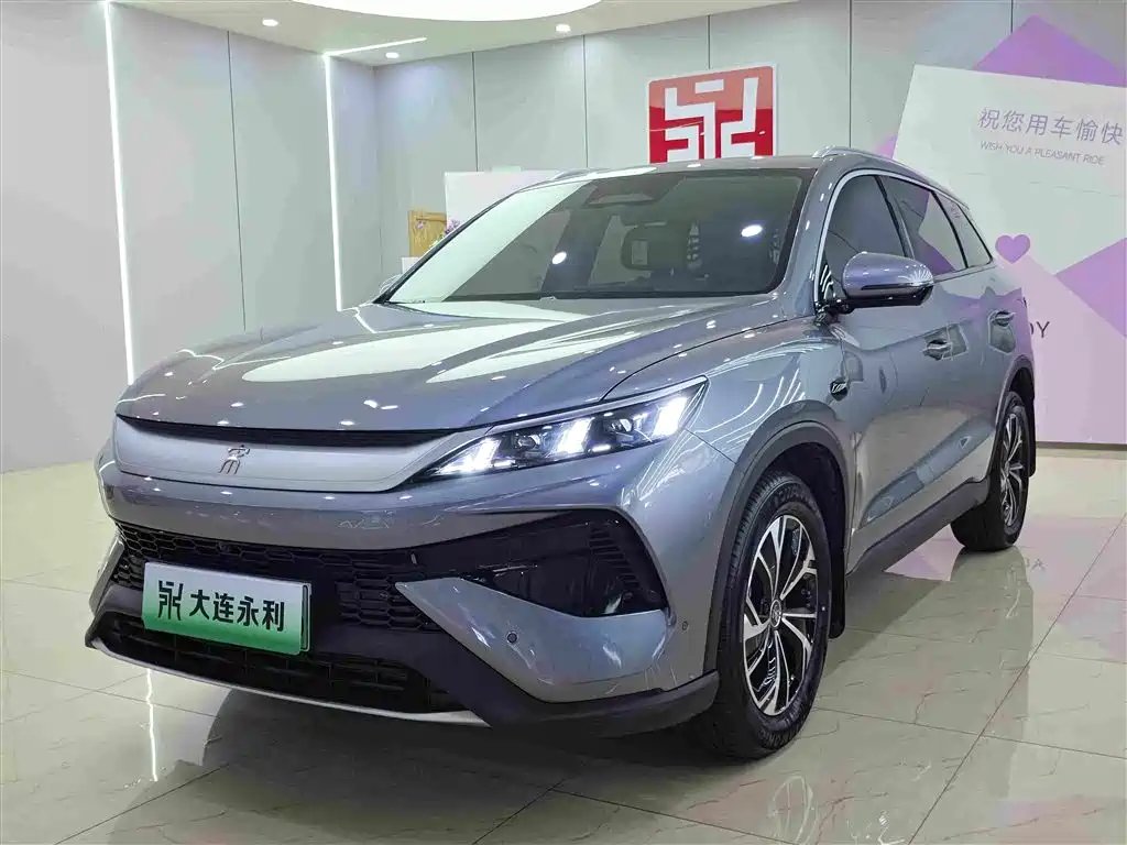 BYD Pro New Energy 2025