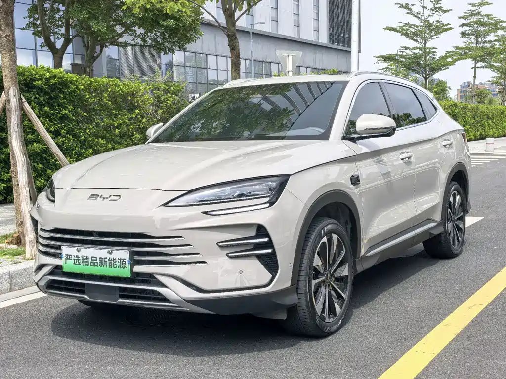 BYD PLUS New Energy 2025