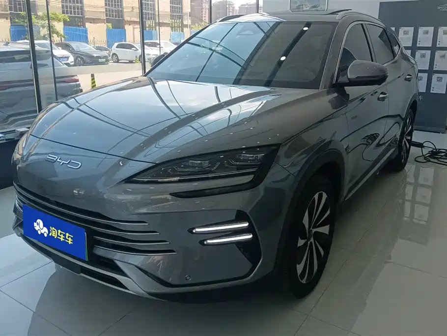 BYD PLUS New Energy 2024
