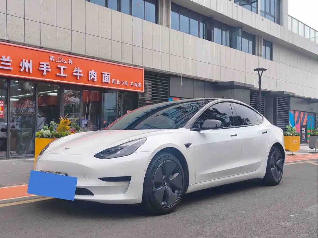 Tesla Model 3 2022