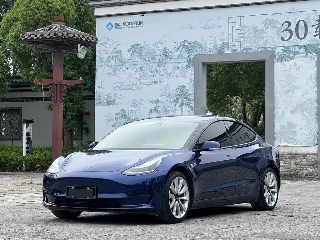 Tesla Model 3 2020