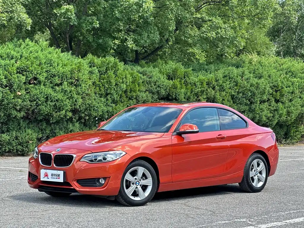 BMW 2 Series (Import) 2015