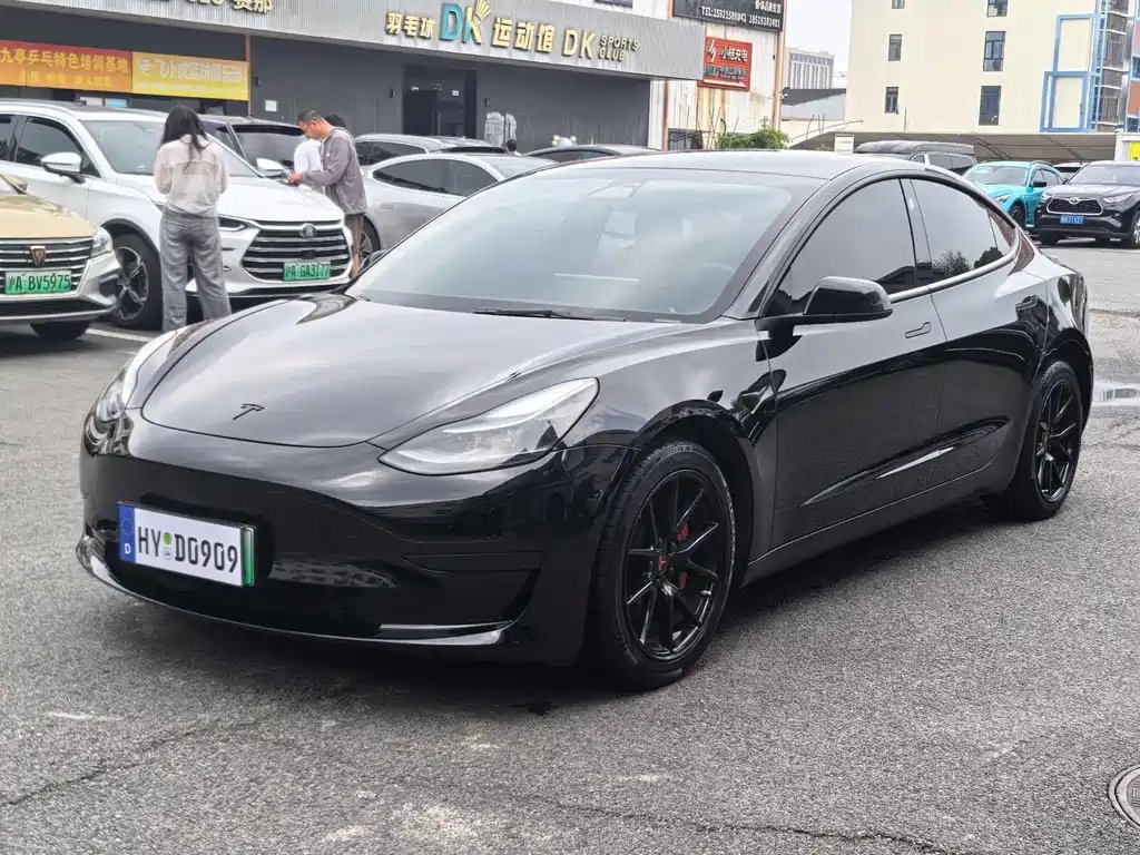 Tesla Model 3 2021