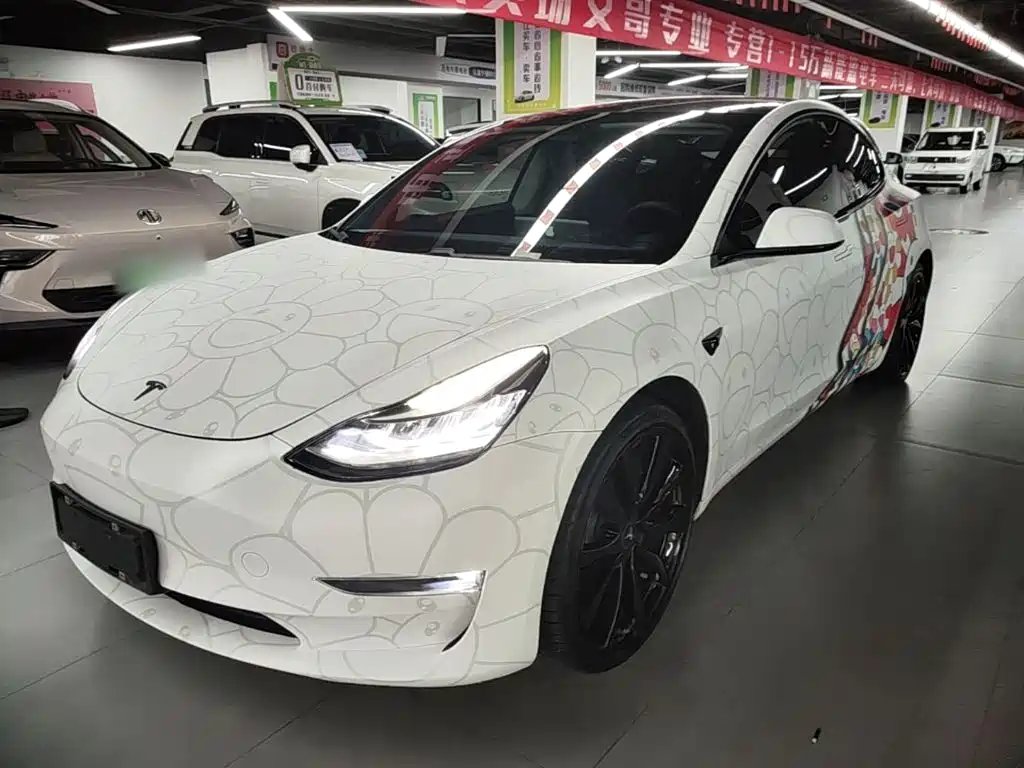 Tesla Model 3 2019