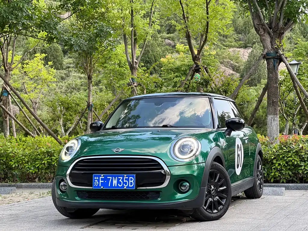 Mini Mini 2021