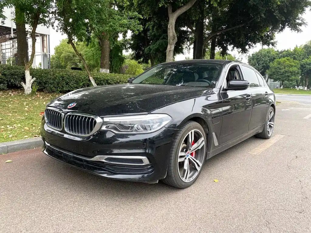 BMW 5 Series New Energy 2020