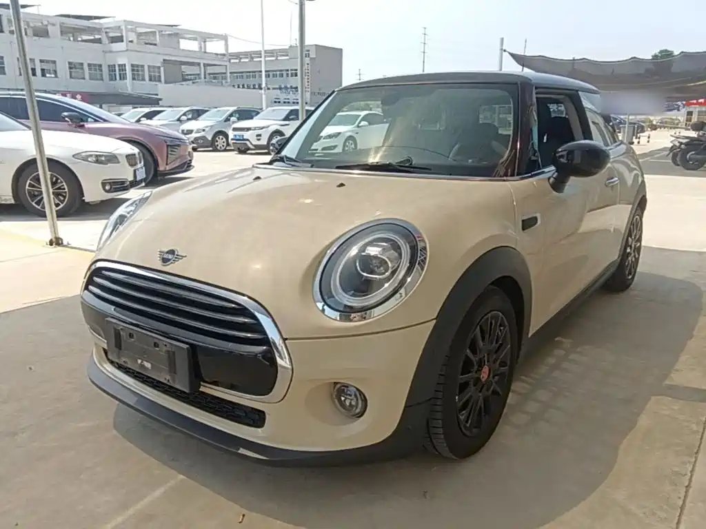 Mini Mini 2020