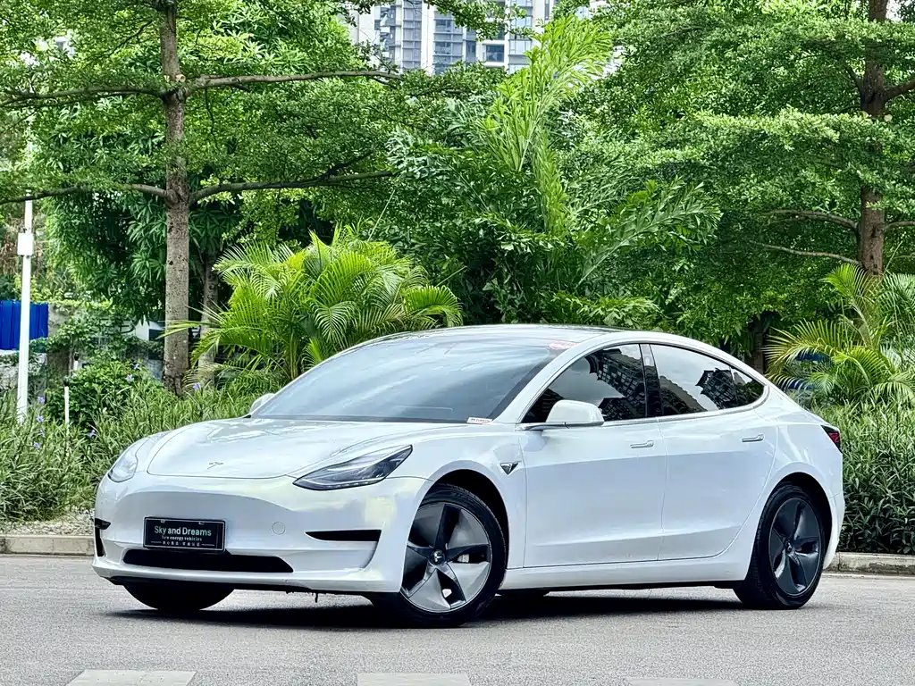 Tesla Model 3 2020