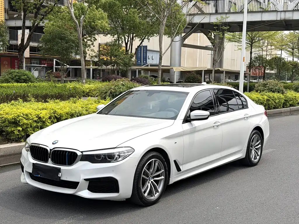 BMW 5 Series 2020