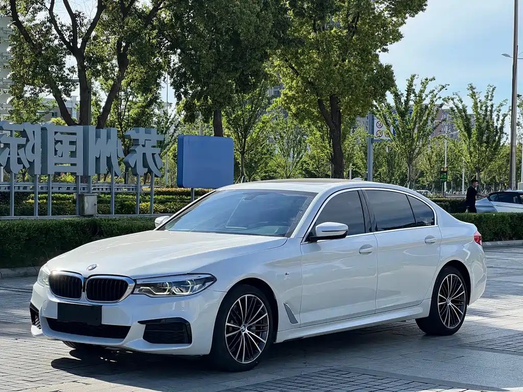 BMW 5 Series 2019