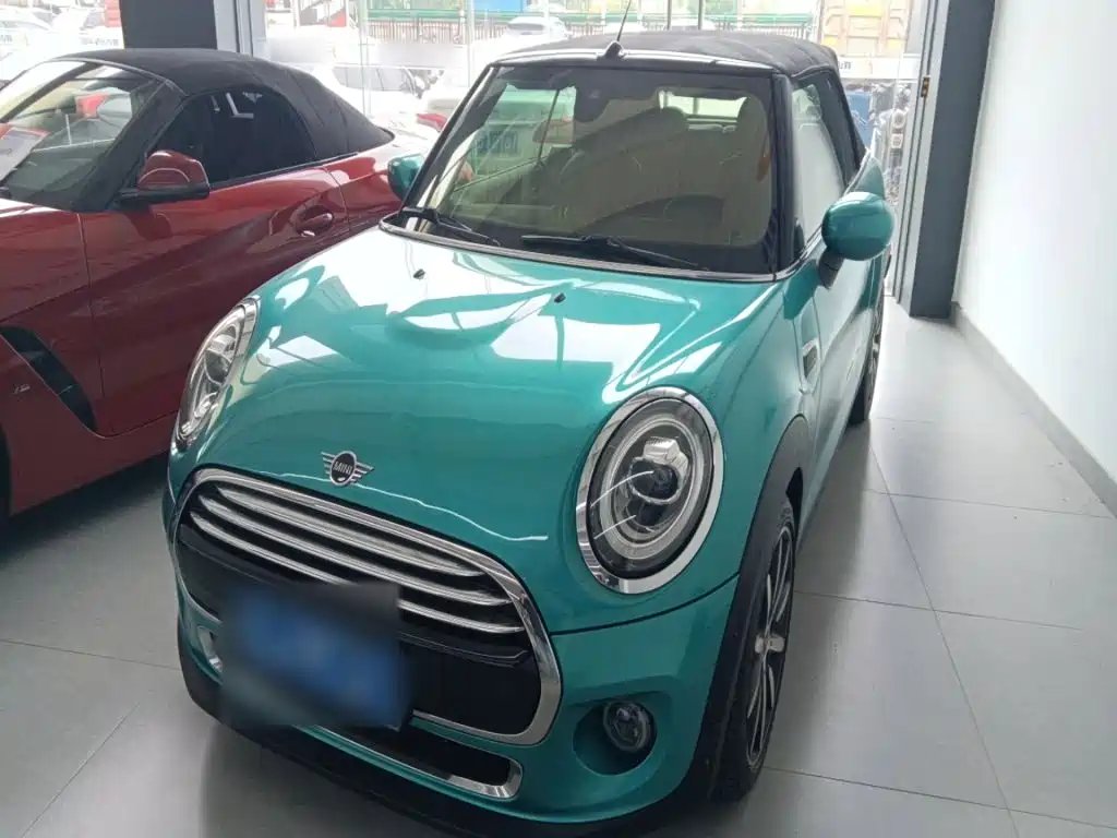Mini Mini 2020