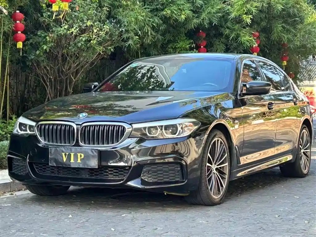 BMW 5 Series 2019