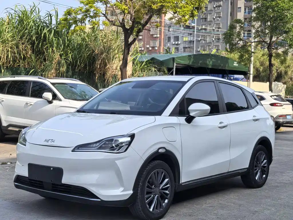 Neta Neta V 2022