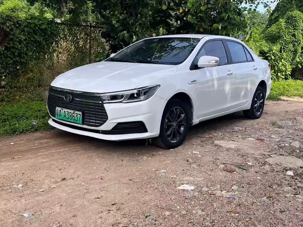 BYD Qin NEV 2021