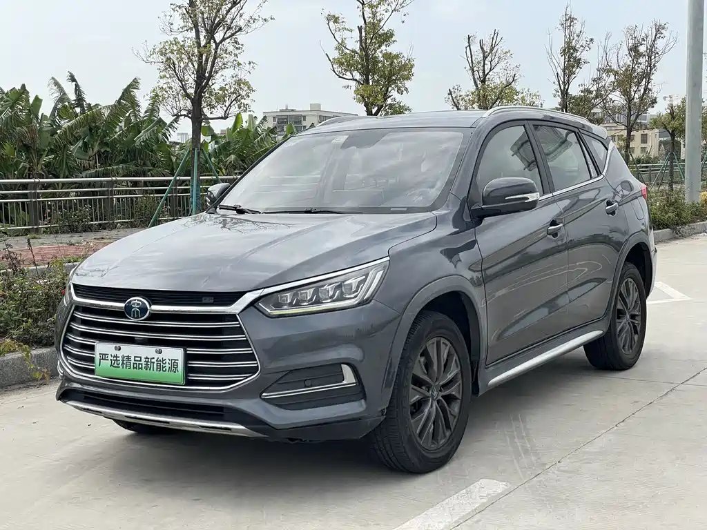 BYD New Energy 2019