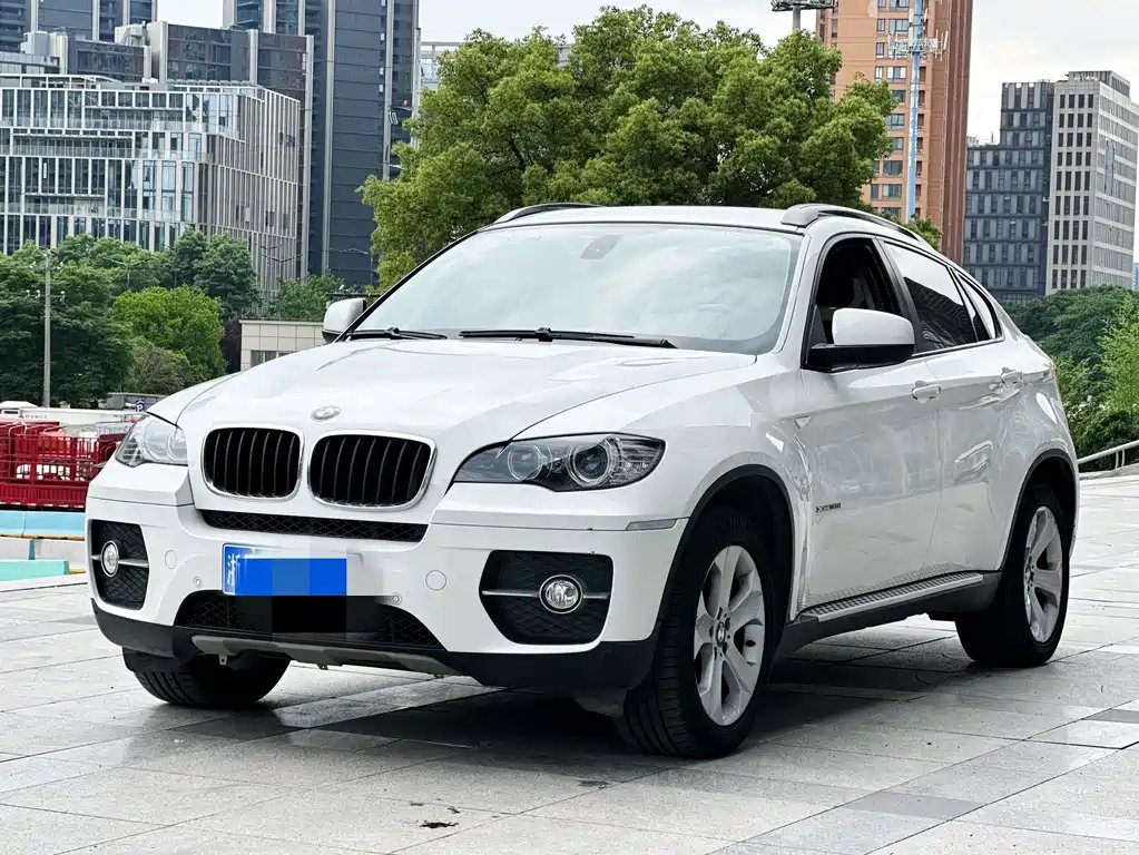 BMW X6 2009