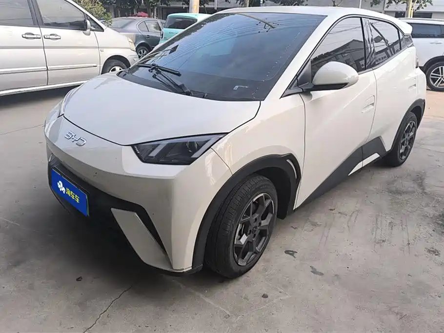 BYD Seagull 2024