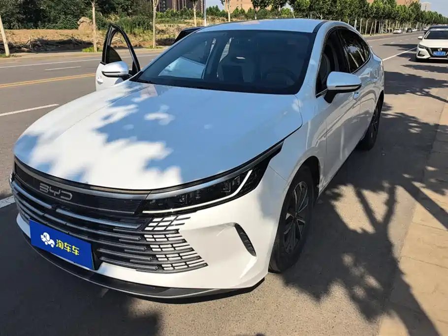 BYD Destroyer 05 2024