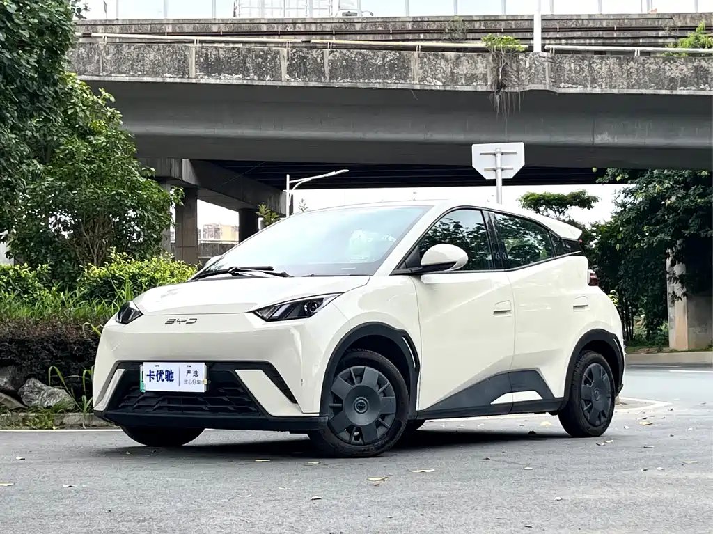 BYD Seagull 2024