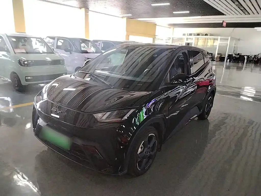 BYD Seagull 2024