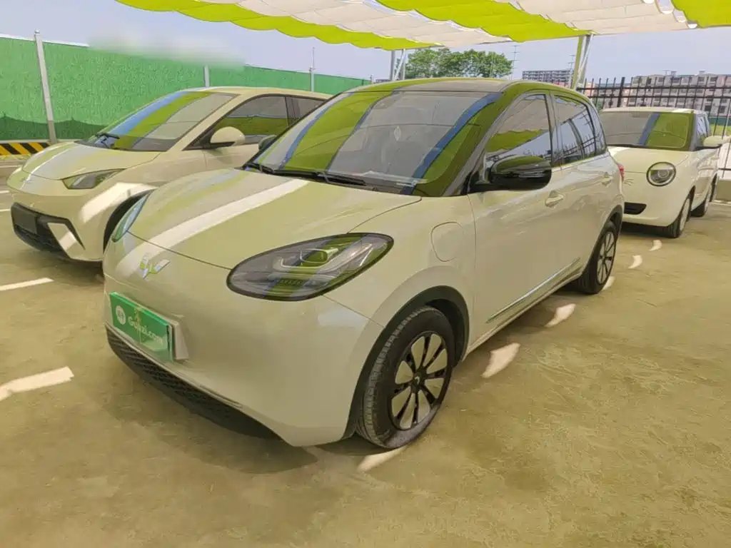 Wuling Bingo 2024