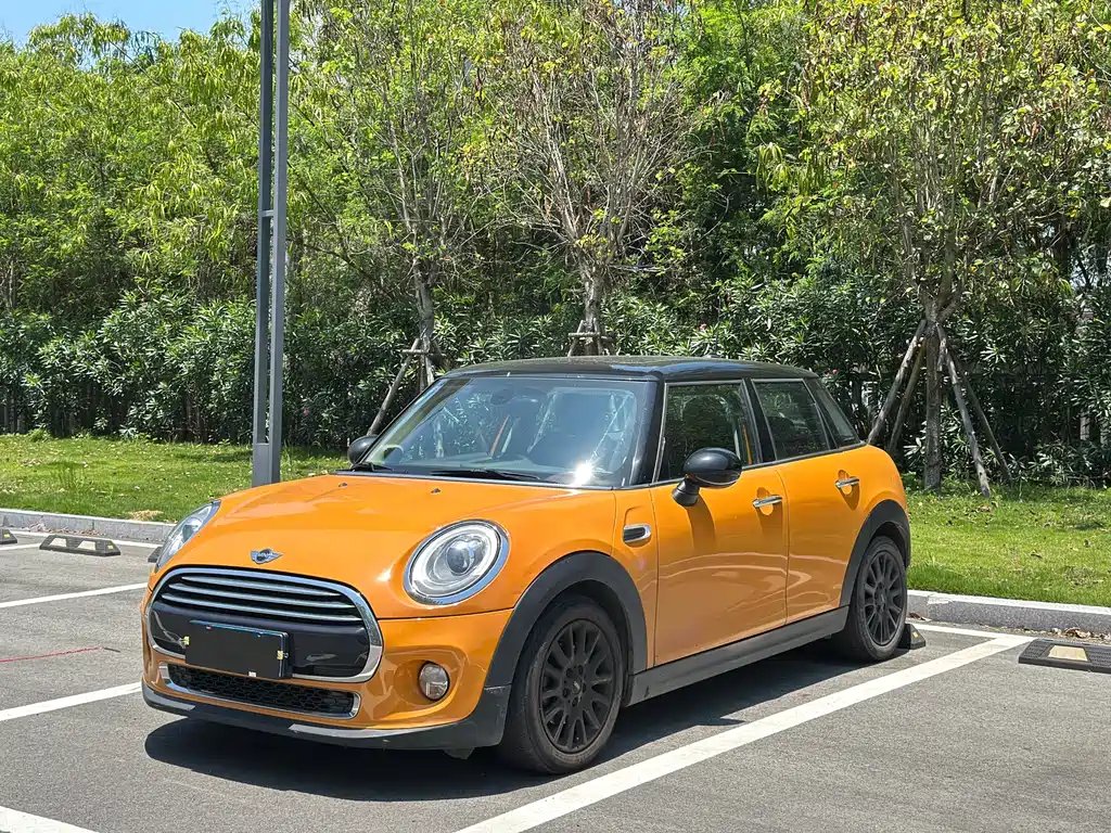 Mini Mini 2016