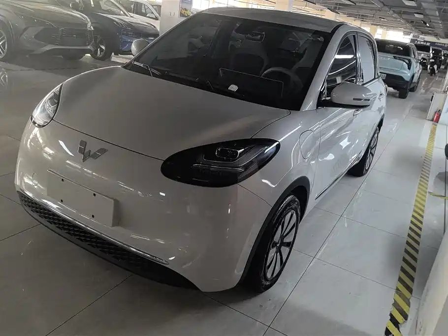 Wuling Bingo 2024
