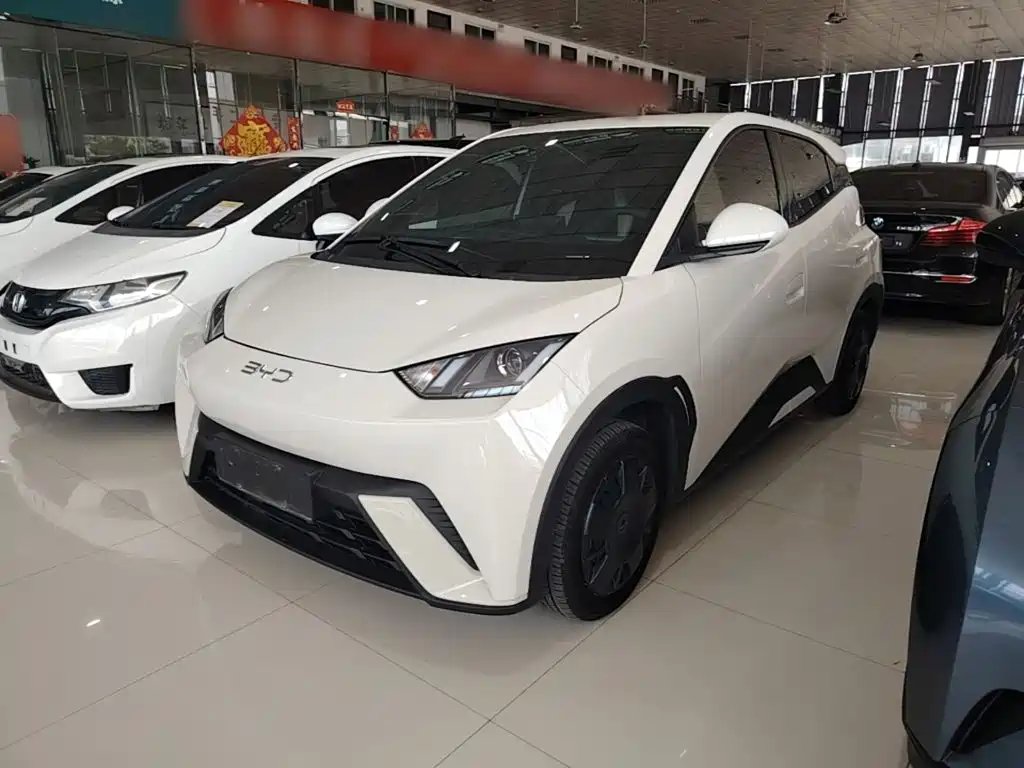 BYD Seagull 2024