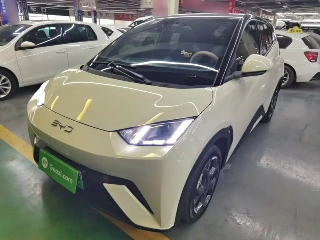 BYD Seagull 2024