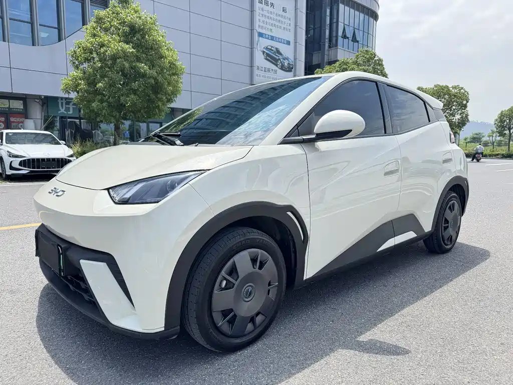 BYD Seagull 2025