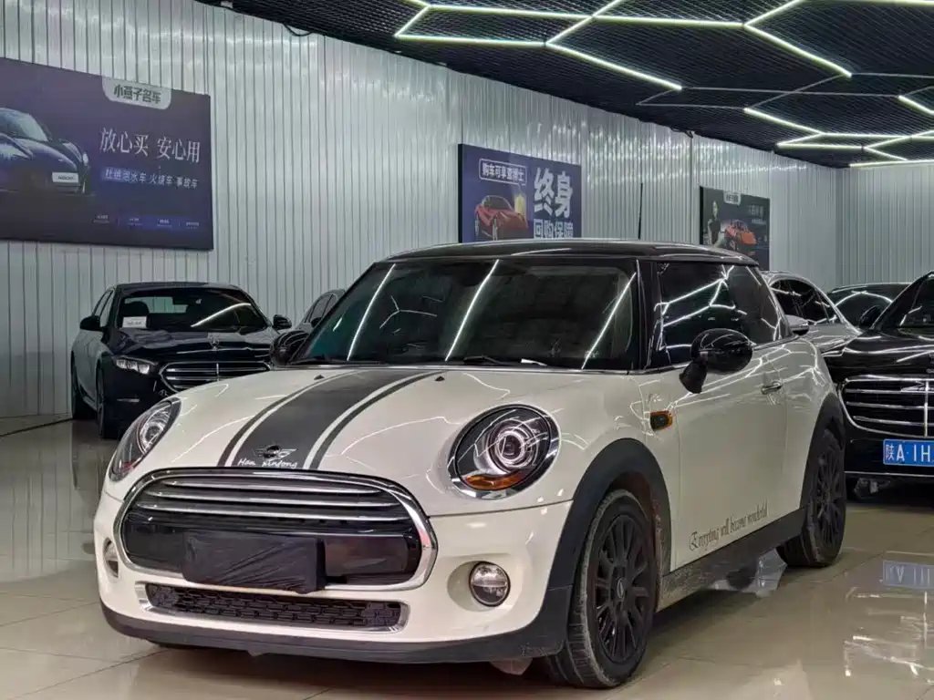 Mini Mini 2015