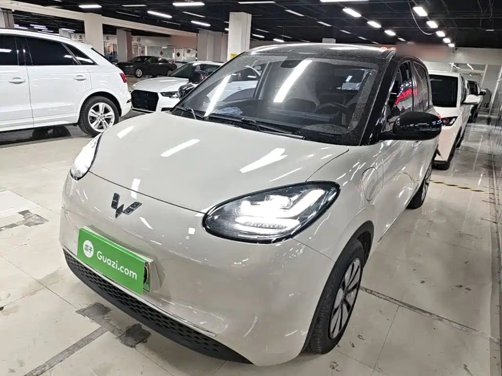 Wuling Bingo 2024