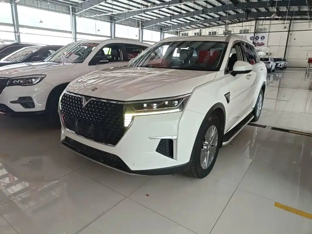 Venucia Star 2020