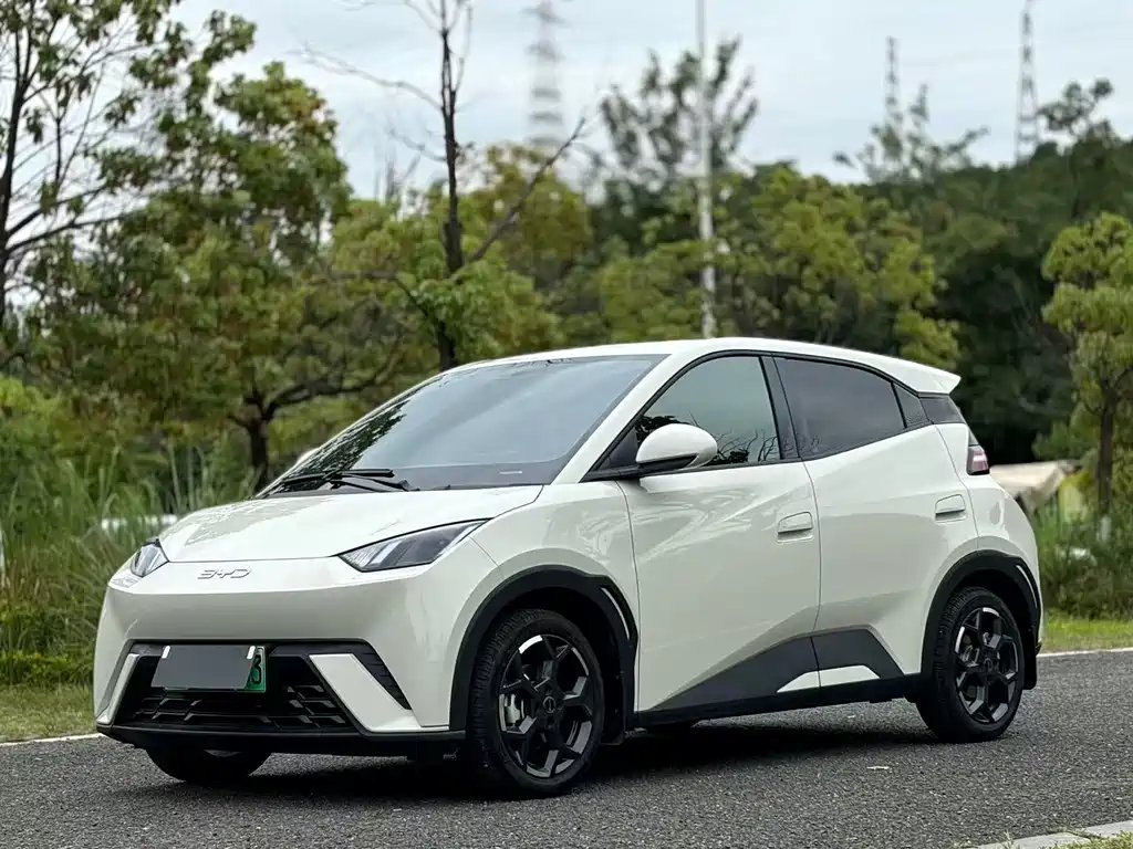 BYD Seagull 2024