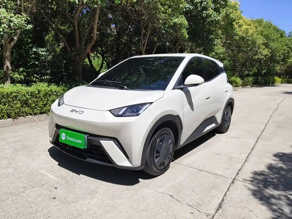 BYD Seagull 2025
