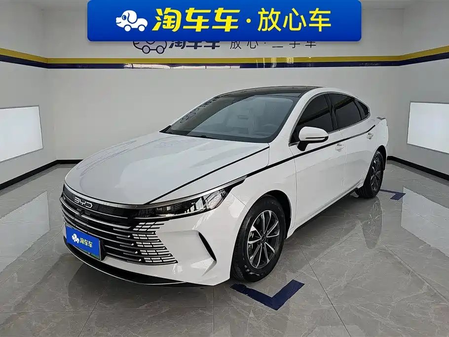 BYD Destroyer 05 2024